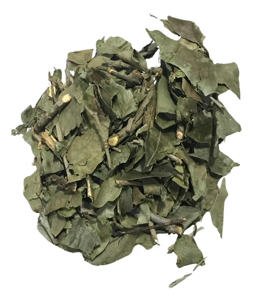 ERVA PASSARINHO  30g